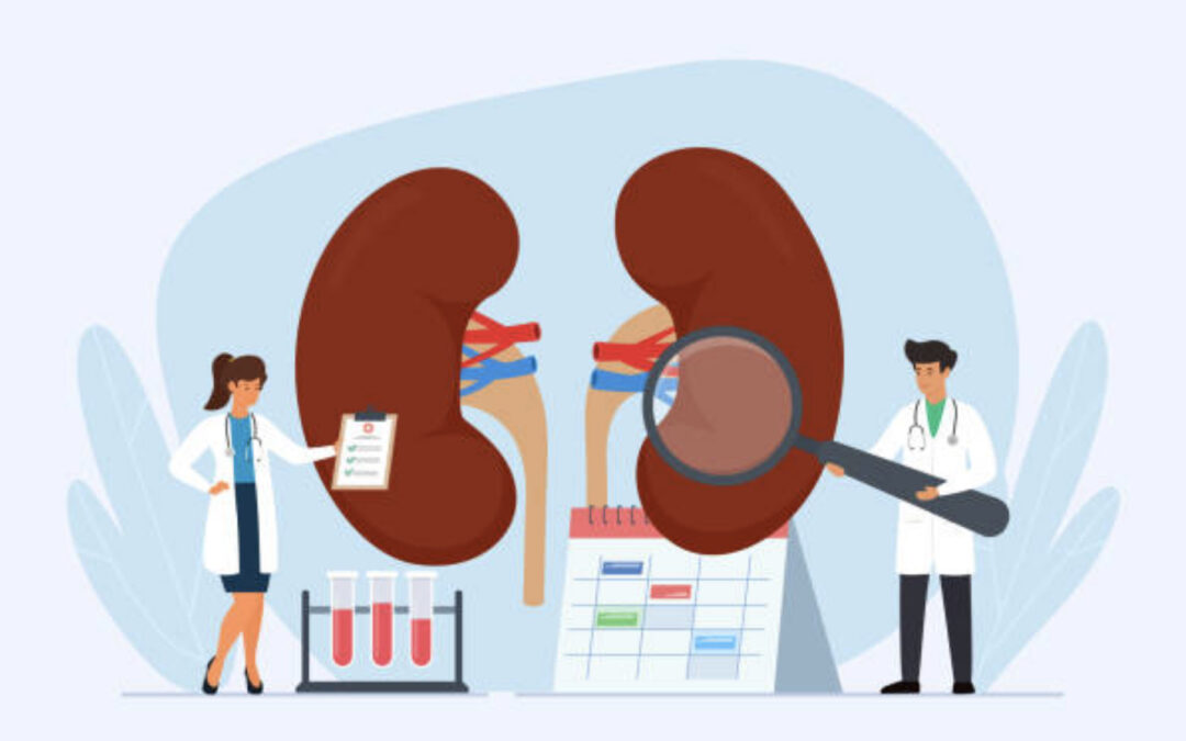 Qué es la Unidad de Nefrología: Cuidando tu salud renal con expertos en hemodiálisis